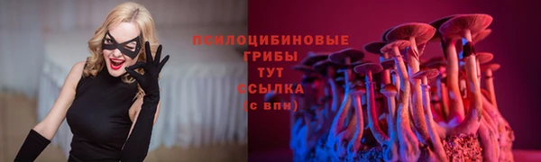 ПСИЛОЦИБИНОВЫЕ ГРИБЫ Армянск