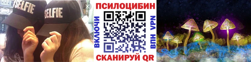 KRAKEN сайт  как найти   Кизляр  Галлюциногенные грибы Cubensis 